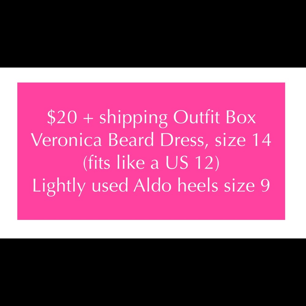 $20 Outfit Box, Veronica Beard Dress 14, Aldo Heels size 9, greatest deal ever